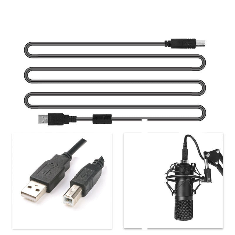 Professional Microphone Set for Recording