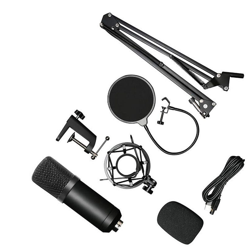 Professional Microphone Set for Recording