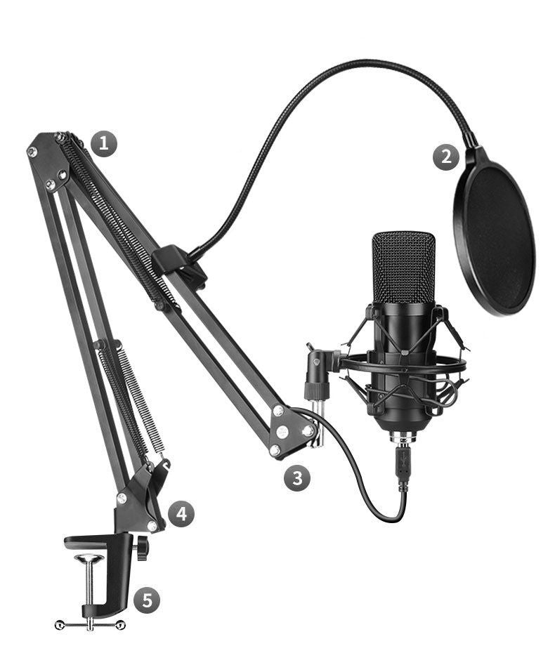 Professional Microphone Set for Recording