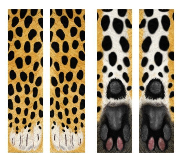 Chaussettes longues 3D motif pattes de chat – Unisexe et amusantes