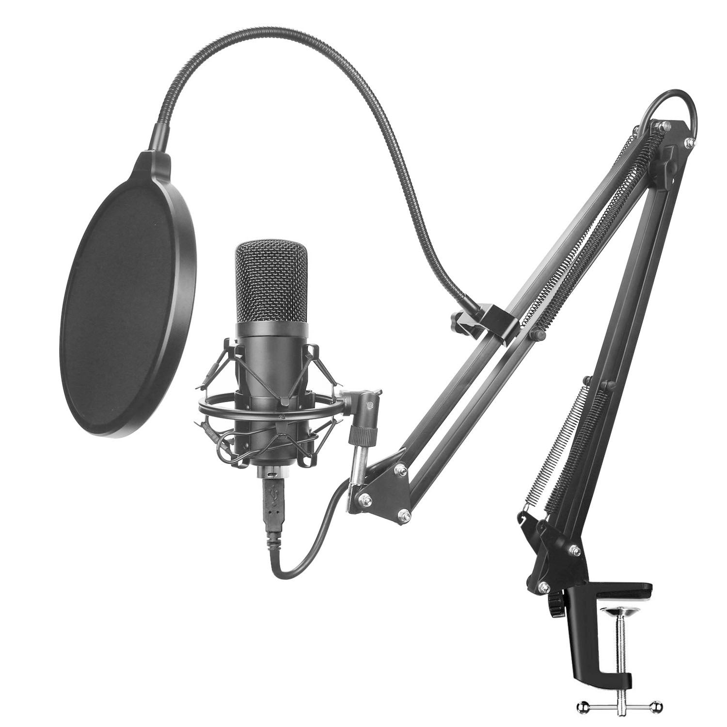 Professional Microphone Set for Recording
