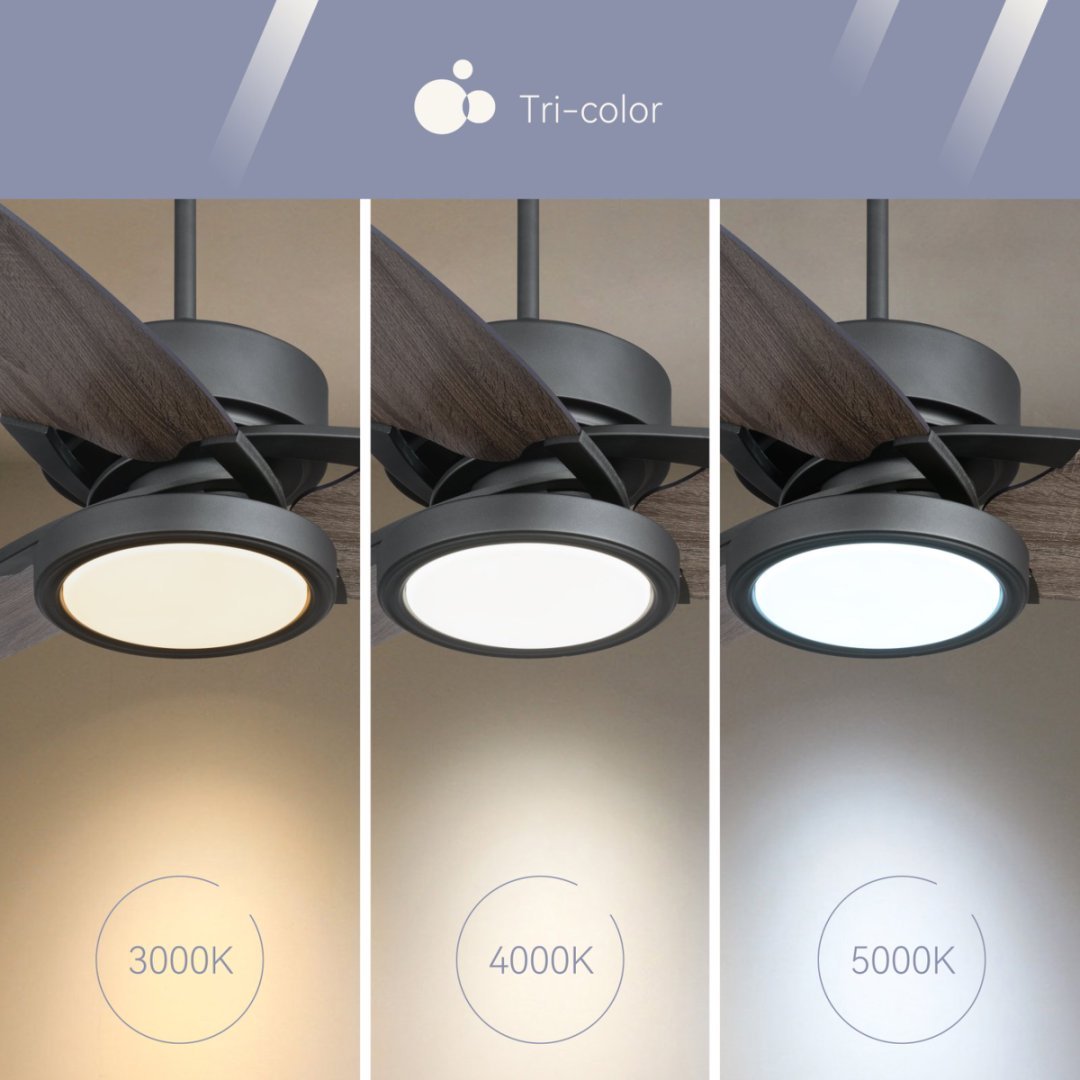 Light Pro 52" Smart Ceiling Fan LED