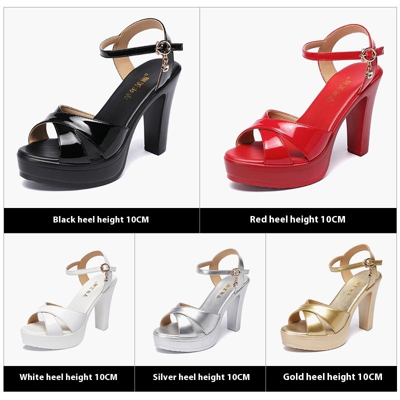 Plus Size Chunky Heel Patent Platforms