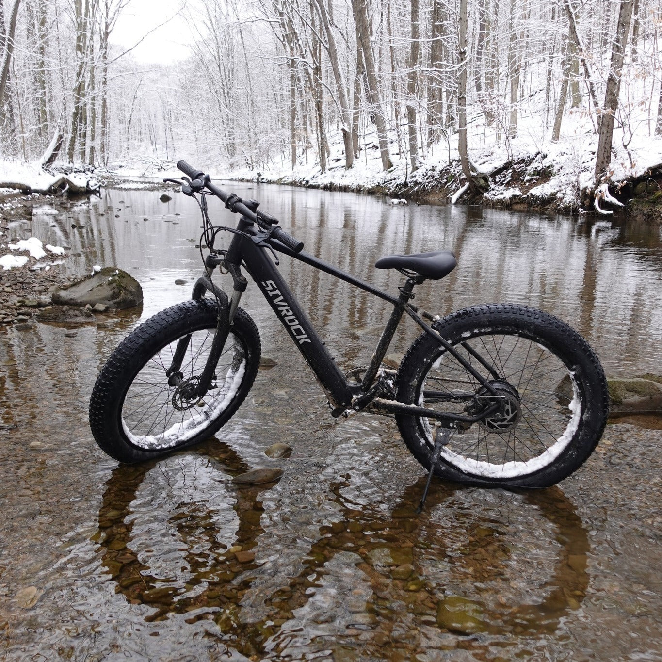 E-Mountain Bike 1000W 26x4.0 Tires