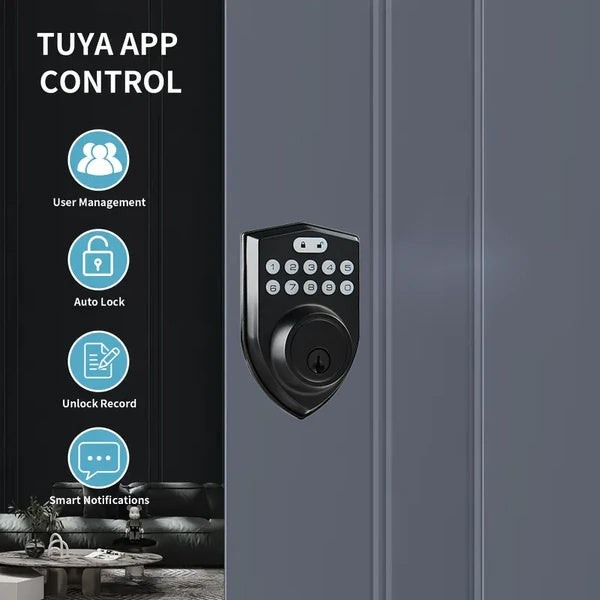Tuya Smart Door Lock with App & Key