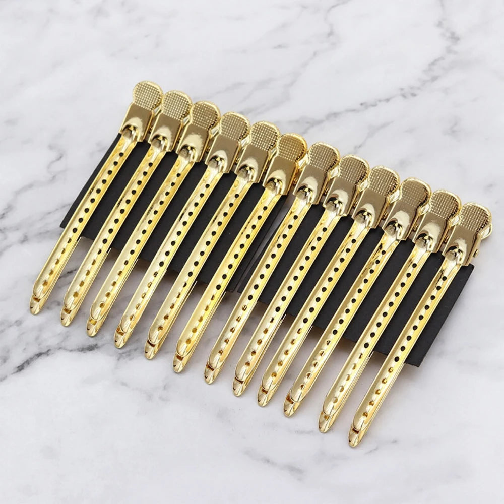 Stainless Steel Hairdressing Clips Set