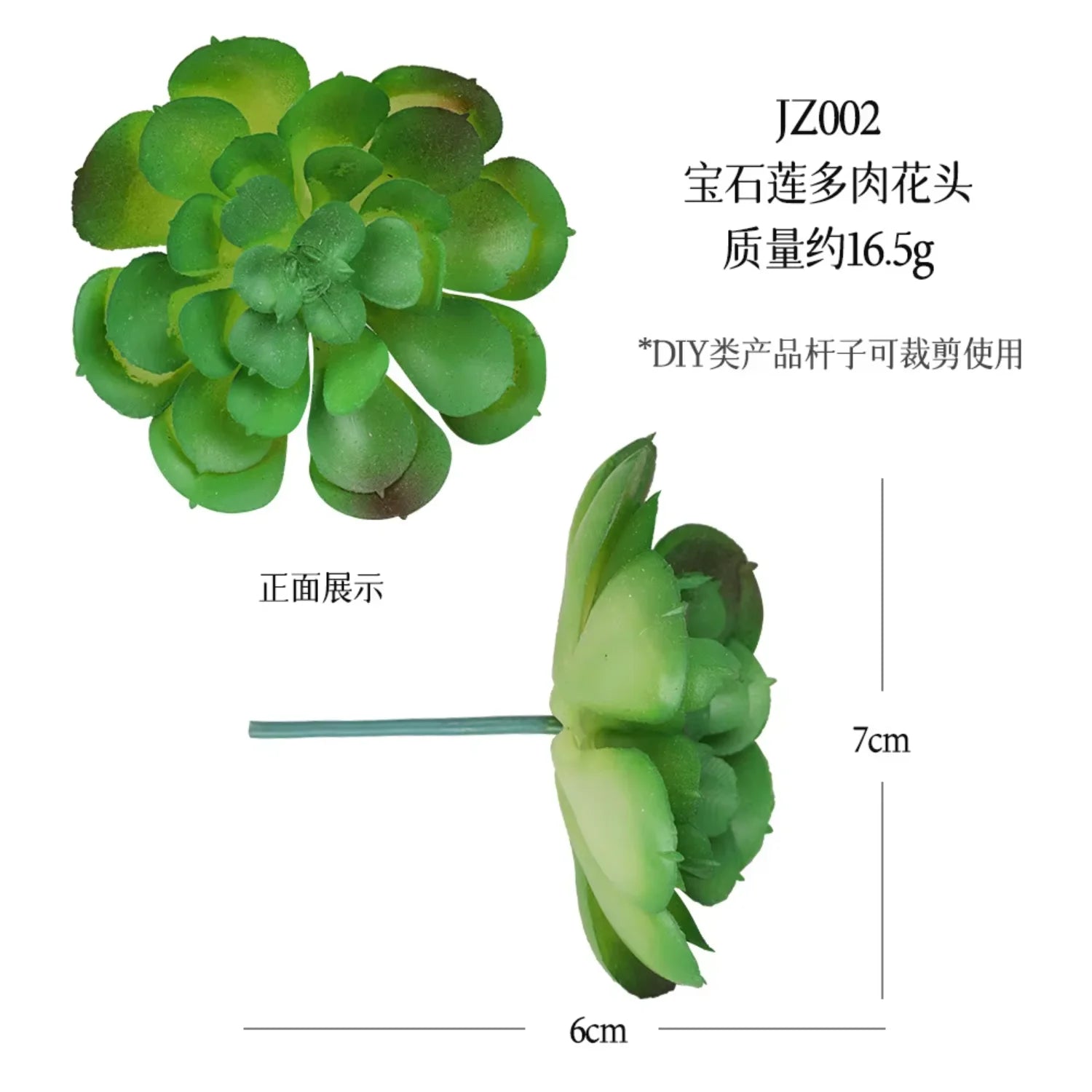 Small Real Touch Bonsai Succulent Decor