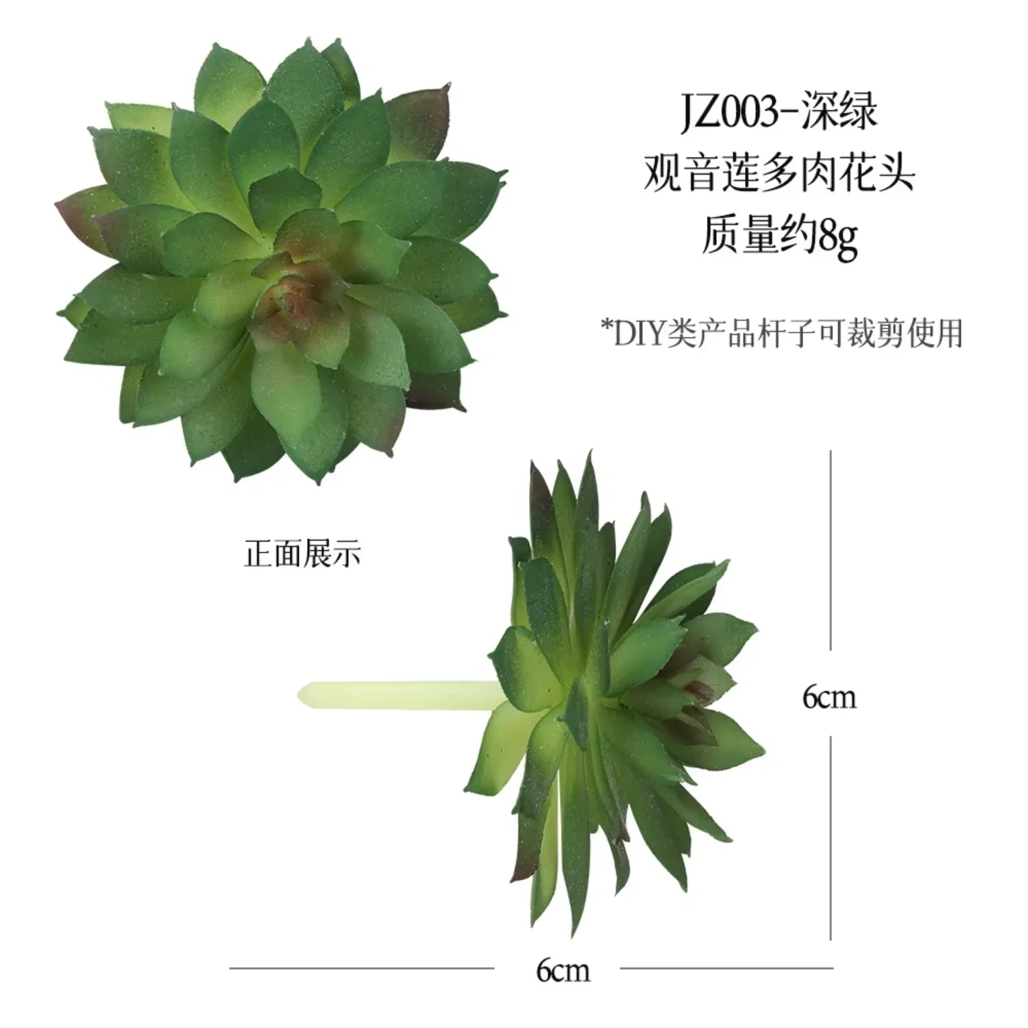 Small Real Touch Bonsai Succulent Decor