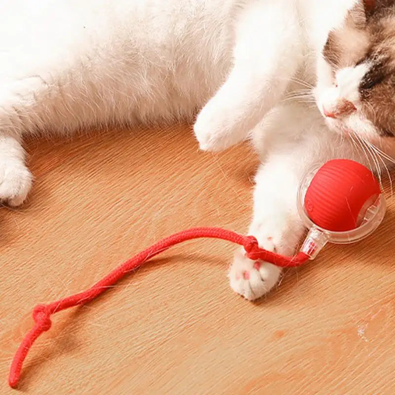 Electric Smart Rolling Cat Ball Toy