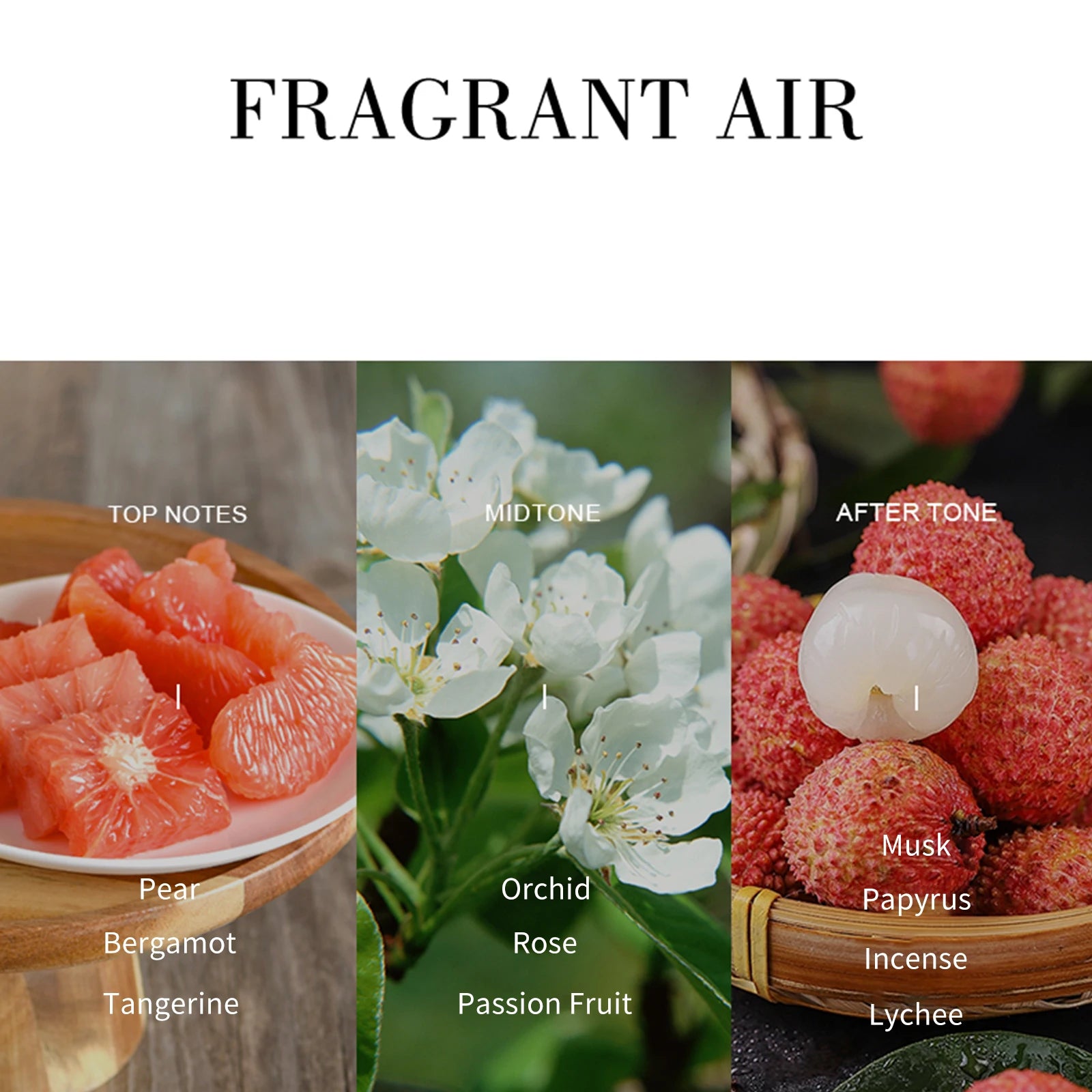 Black Beauty Eau De Parfum 75ml