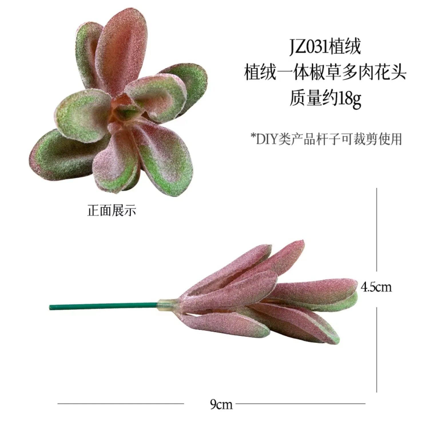 Small Real Touch Bonsai Succulent Decor