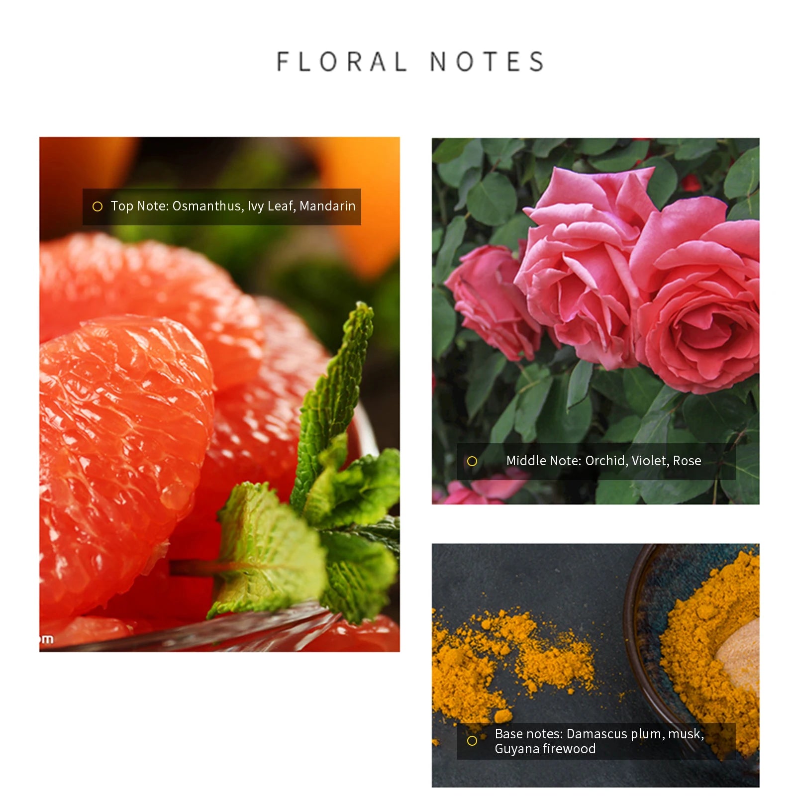 Women’s Romantic Floral Perfume 50ml