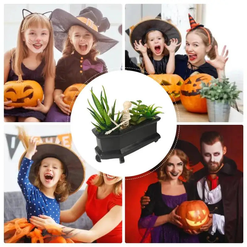 Coffin Skull Fake Plant with Succulents