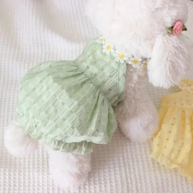 Daisy Summer Dress for Small Dogs