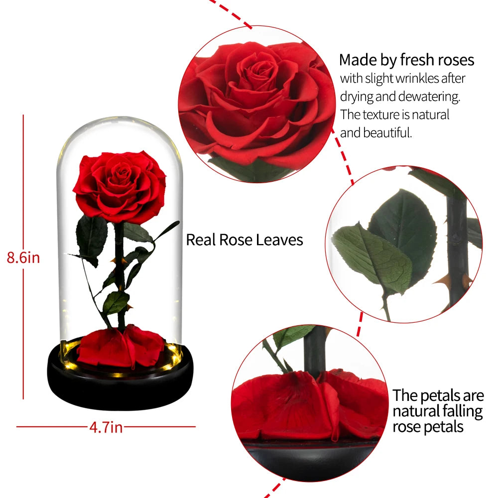 Forever Real Rose in Glass with LED Light