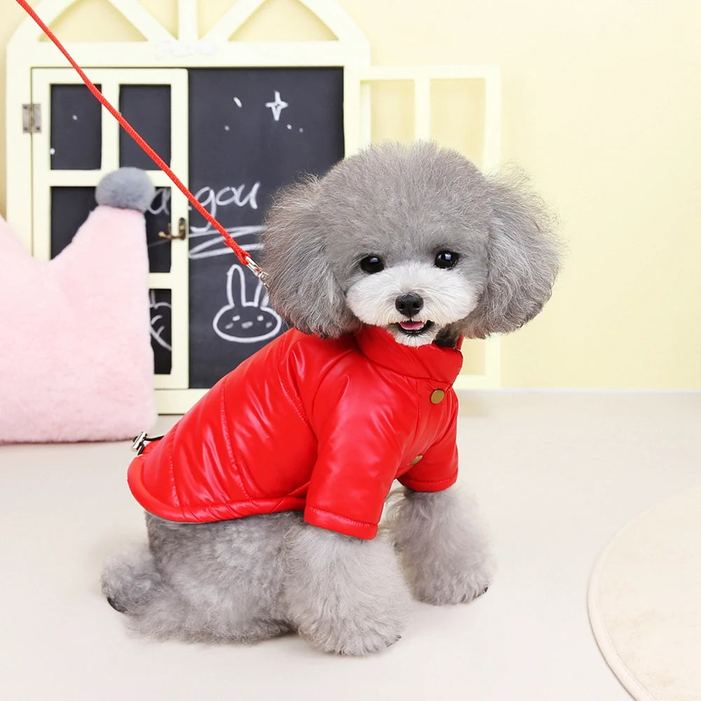 Glossy Winter Coat for Small Dogs