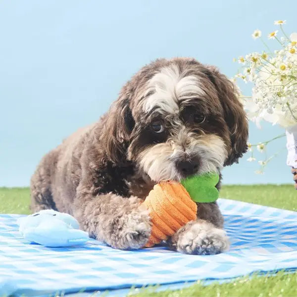 Easter Carrot Dog Plush Toy Set - 2pcs