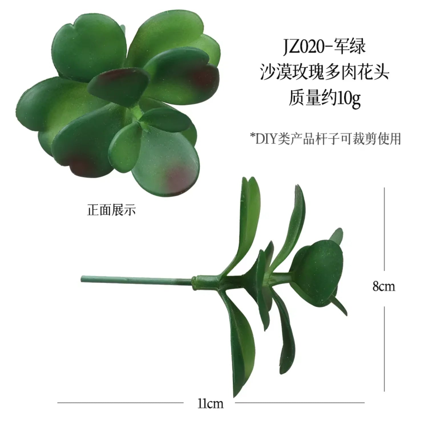 Small Real Touch Bonsai Succulent Decor