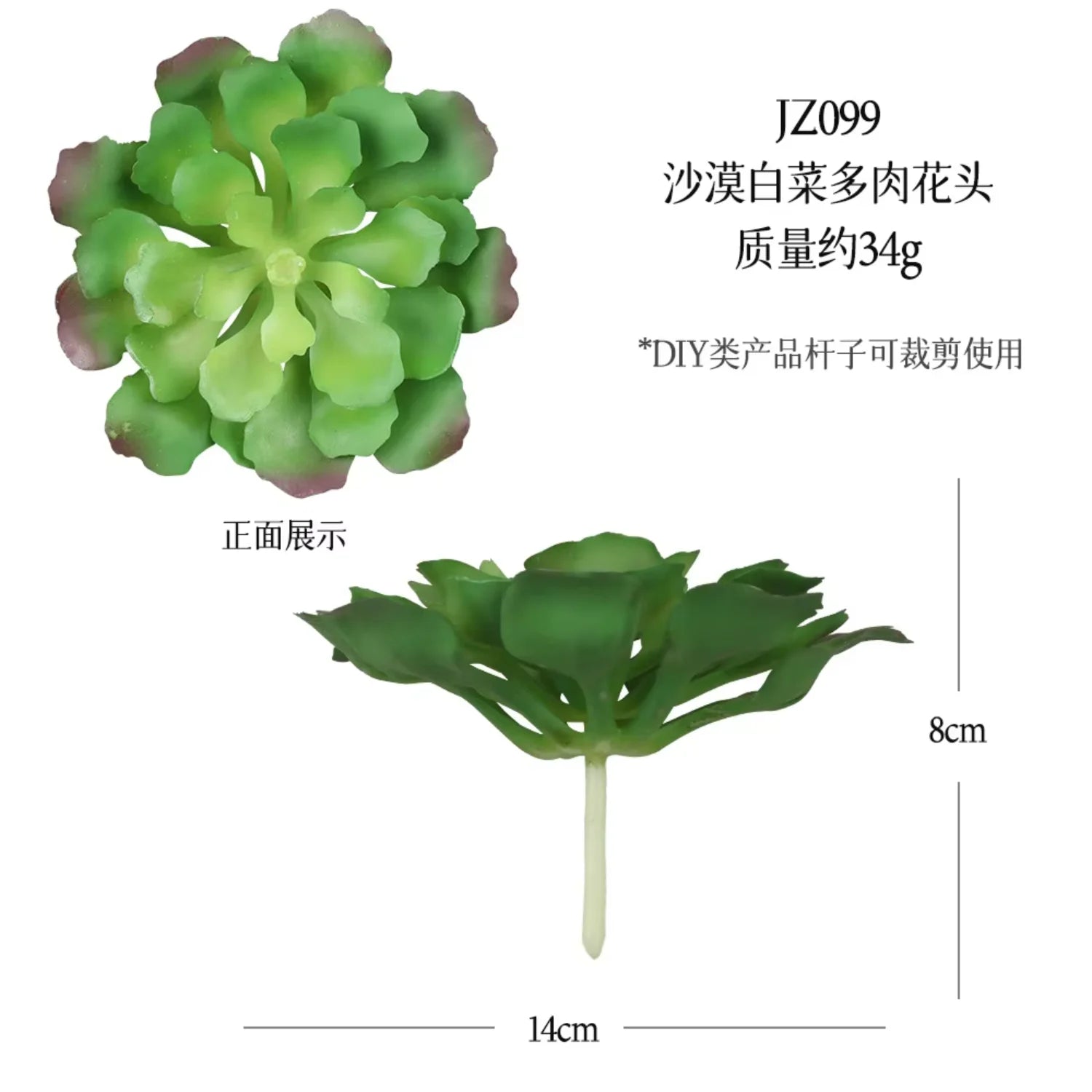 Small Real Touch Bonsai Succulent Decor