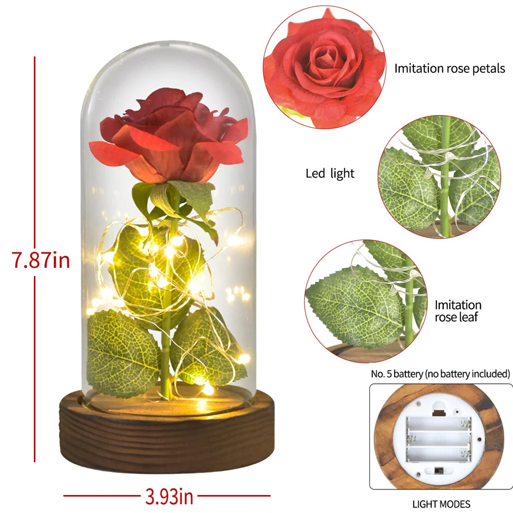 Beauty and the Beast Rose Gift Dome