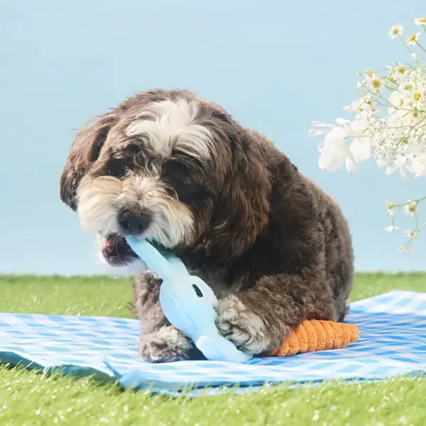 Easter Carrot Dog Plush Toy Set - 2pcs