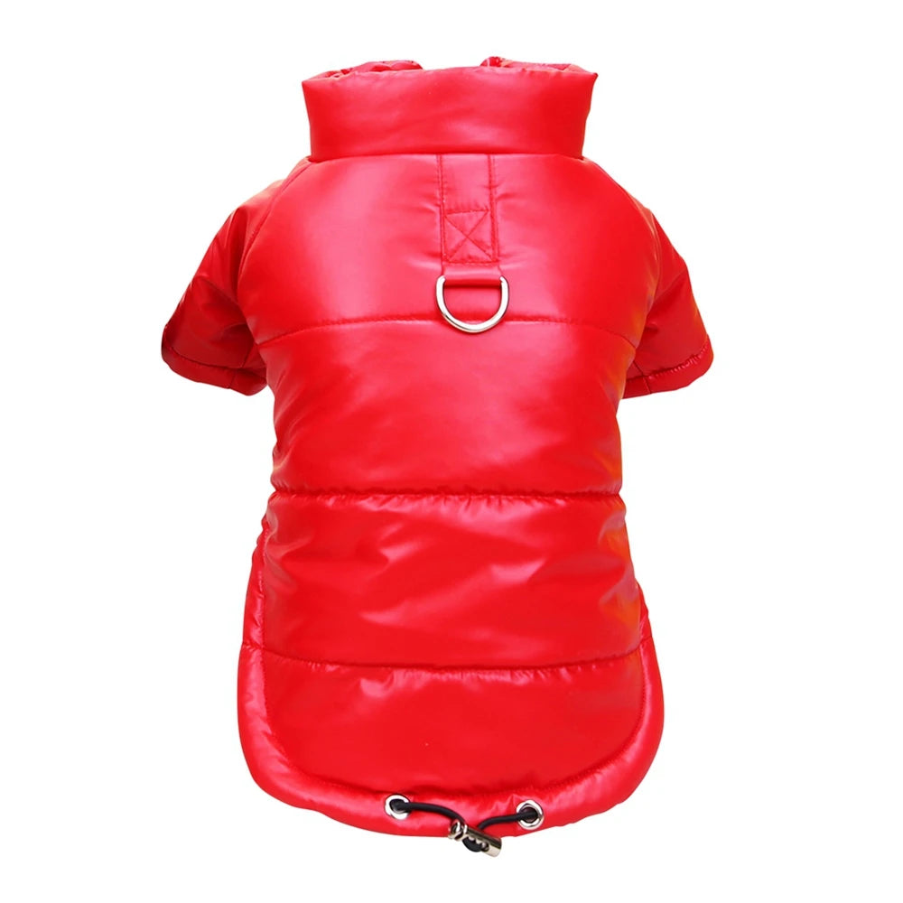 Glossy Winter Coat for Small Dogs