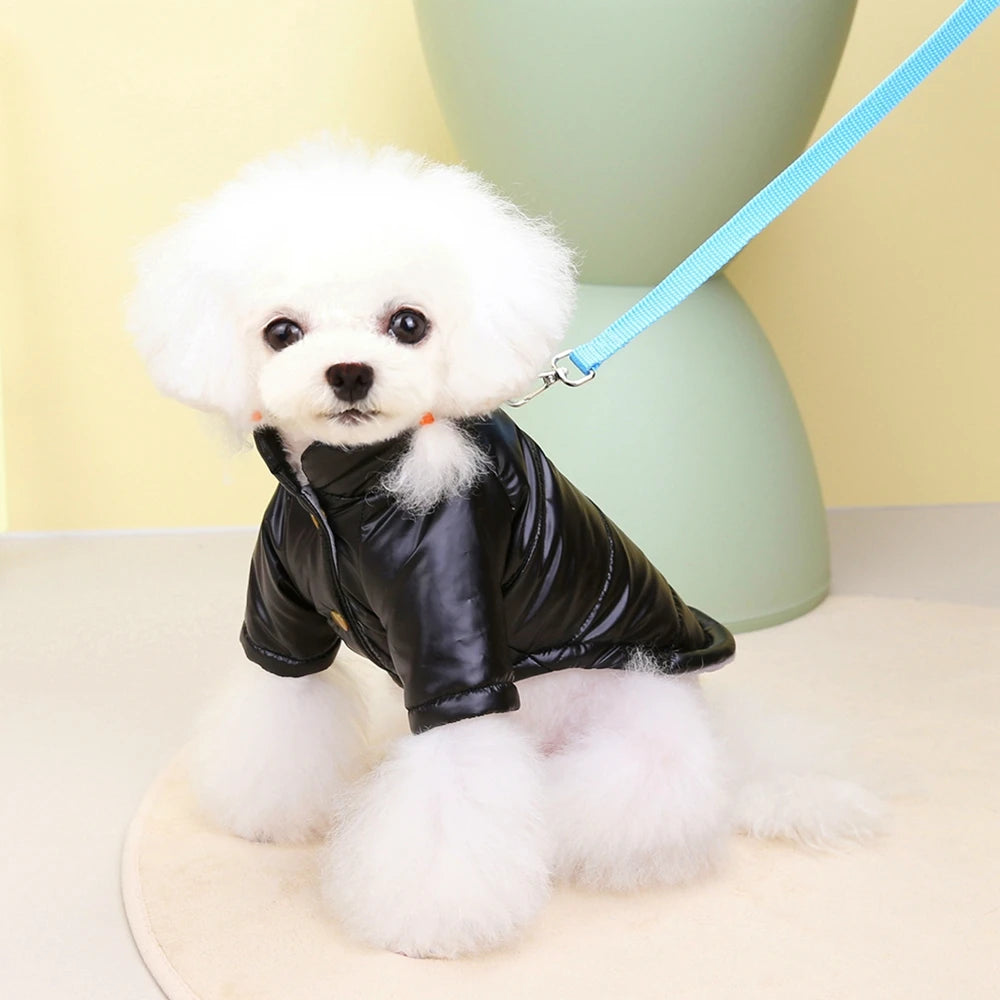 Glossy Winter Coat for Small Dogs