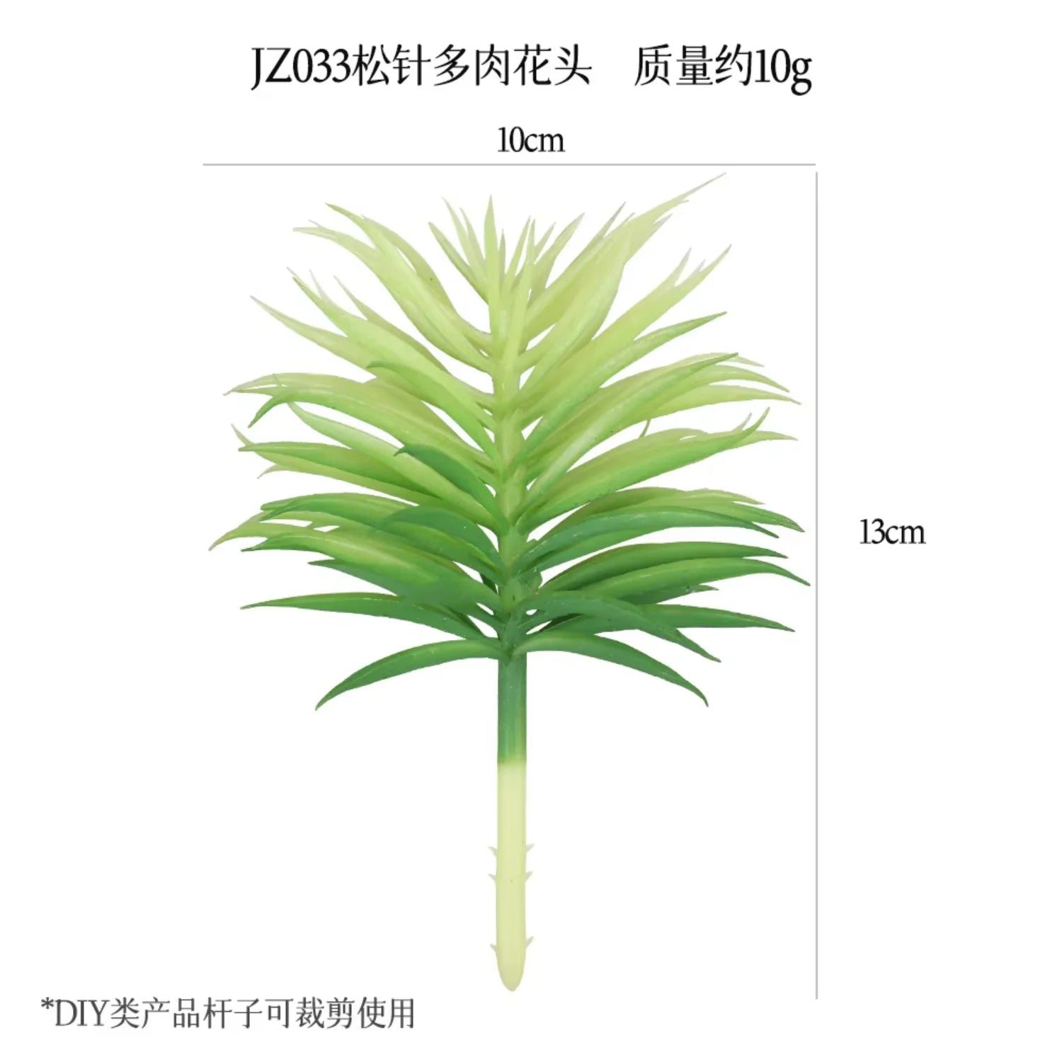 Small Real Touch Bonsai Succulent Decor