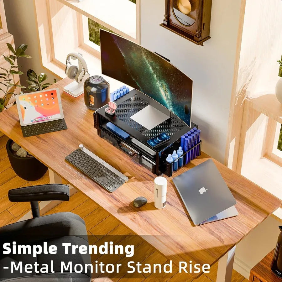 2-Tier Metal Monitor Stand Organizer