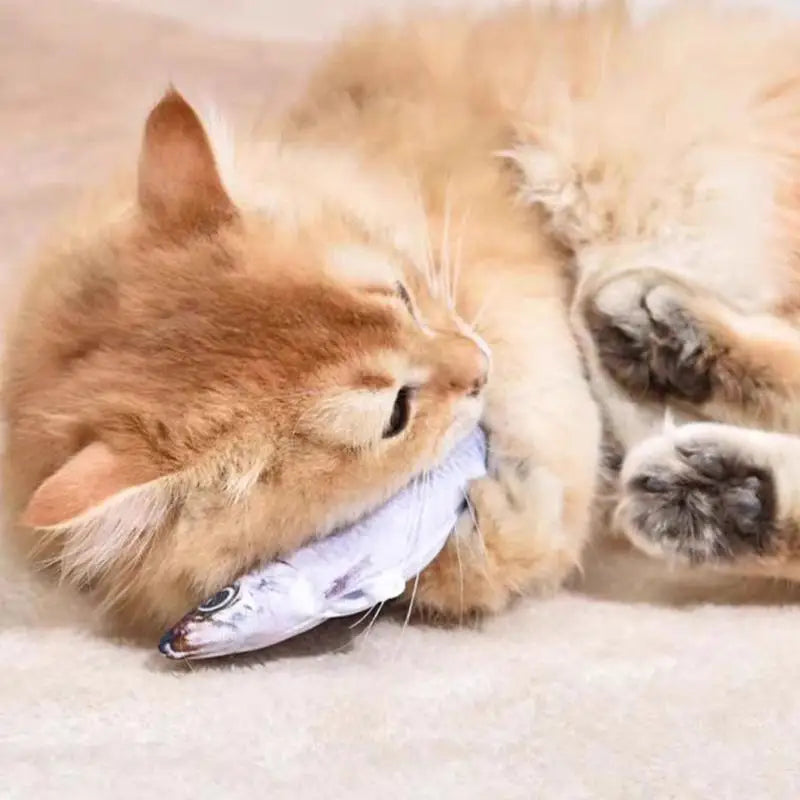 Electric Floppy Fish Toy for Cats