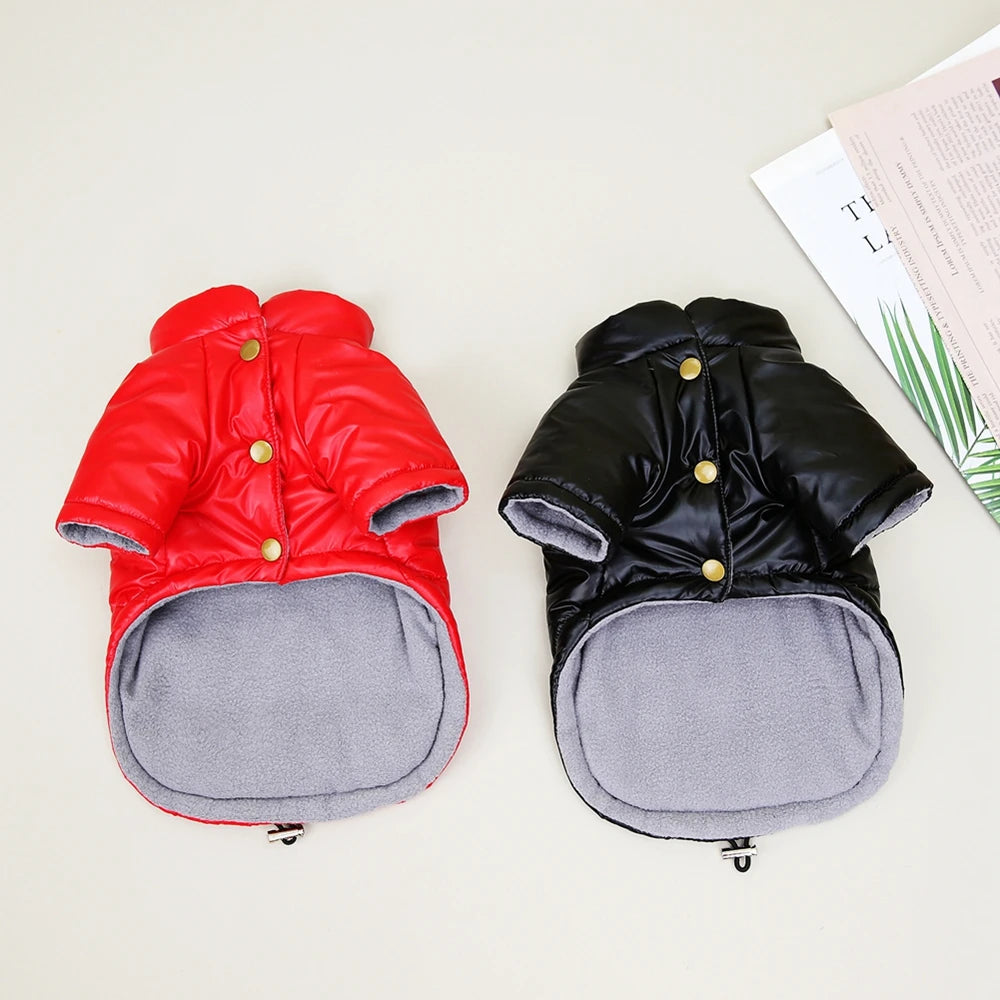 Glossy Winter Coat for Small Dogs