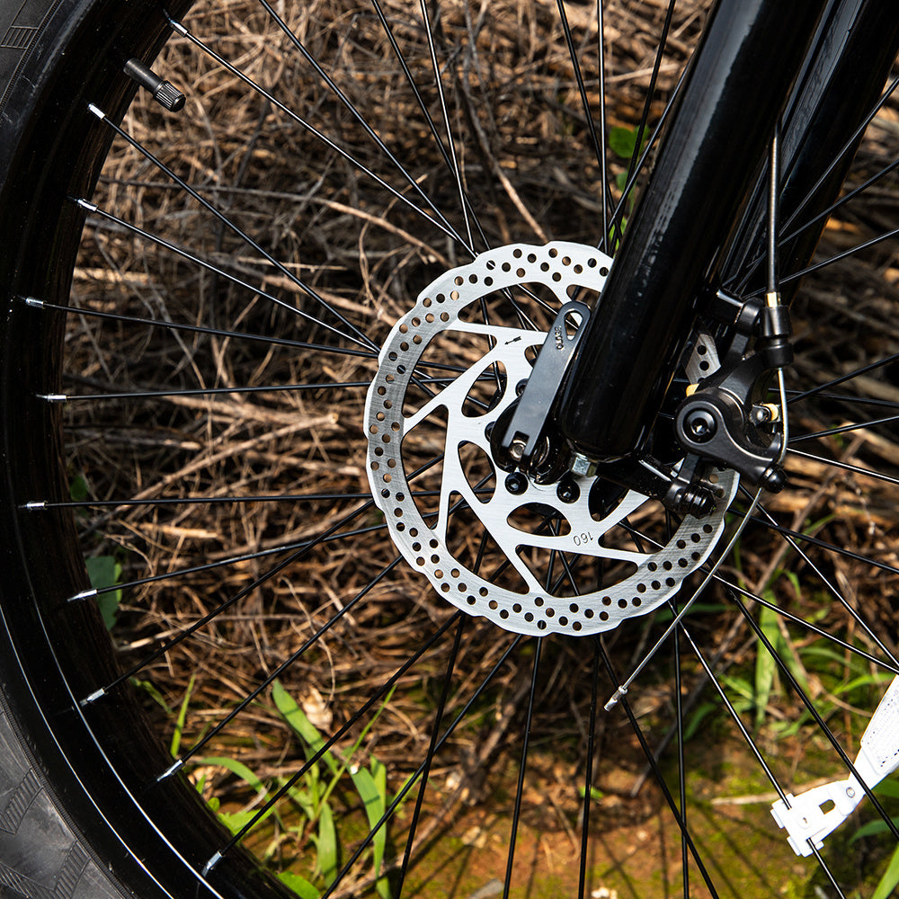 E-Mountain Bike 1000W 26x4.0 Tires