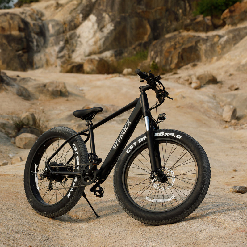 E-Mountain Bike 1000W 26x4.0 Tires