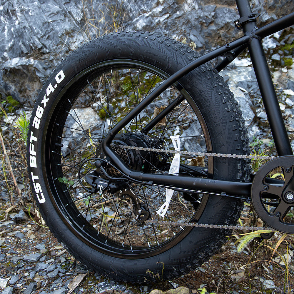 E-Mountain Bike 1000W 26x4.0 Tires