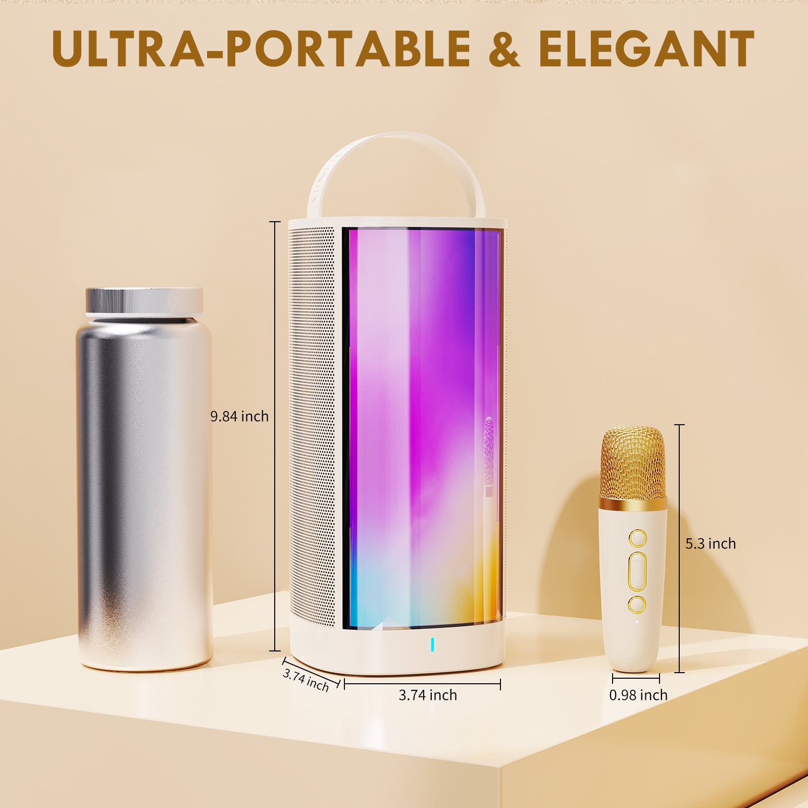 JYX D31-T Karaoke Machine with 2 Mics