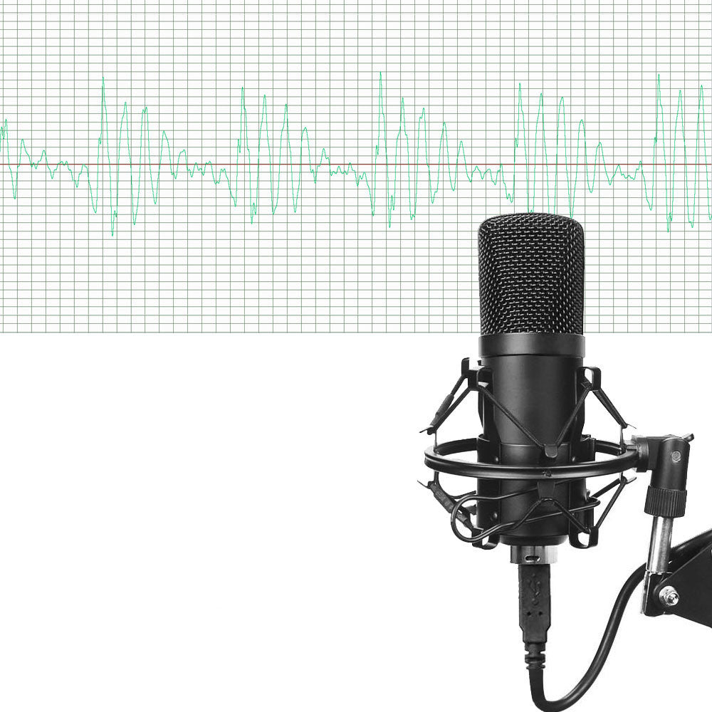 Professional Microphone Set for Recording