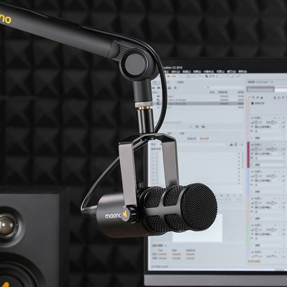 Tianwang XLR Live Recording Microphone