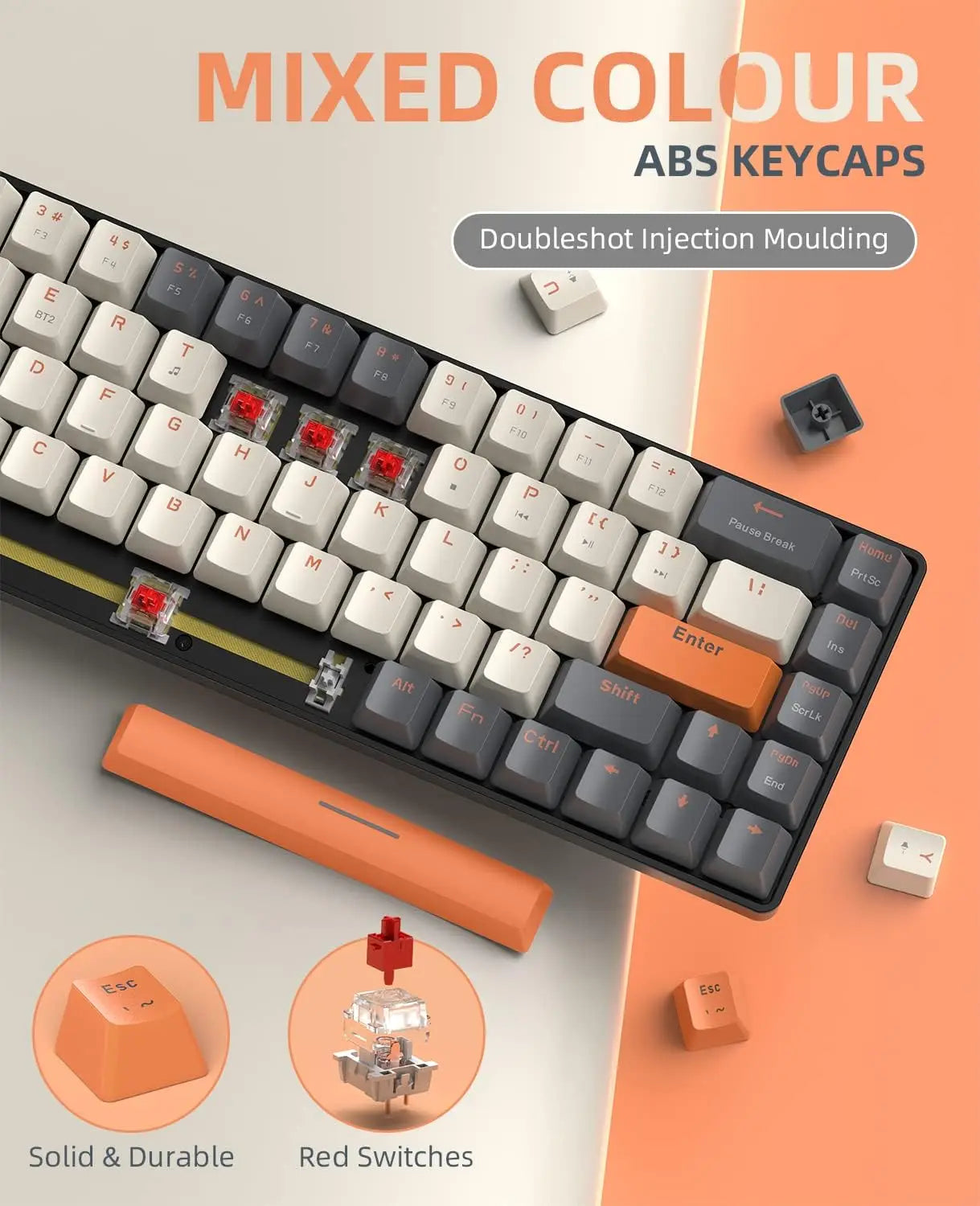 MAMBASNAKE x ZIYOU LANG K68 Wireless KB